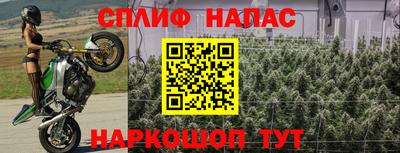 прущая мука Камышлов