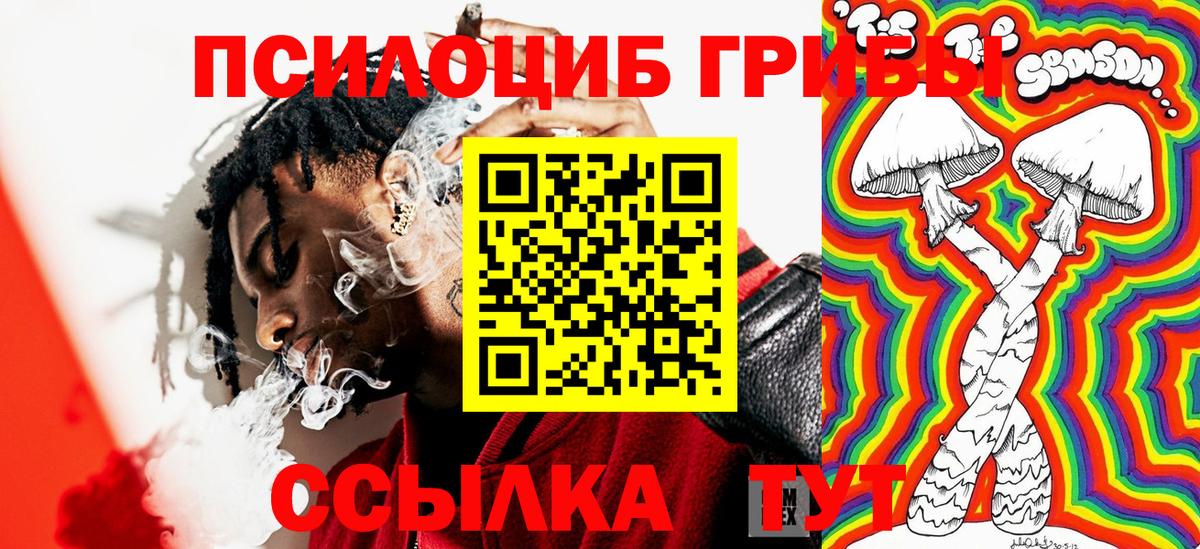 Галлюциногенные грибы ЛСД Курчалой