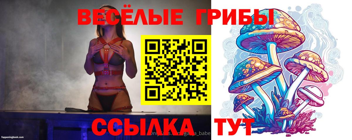 Галлюциногенные грибы ЛСД  Галлюциногенные грибы мицелий  Вход с VPN  Курчалой 